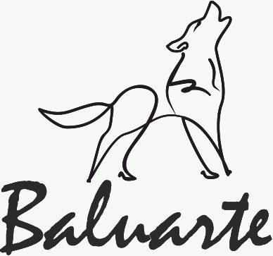 Baluarte